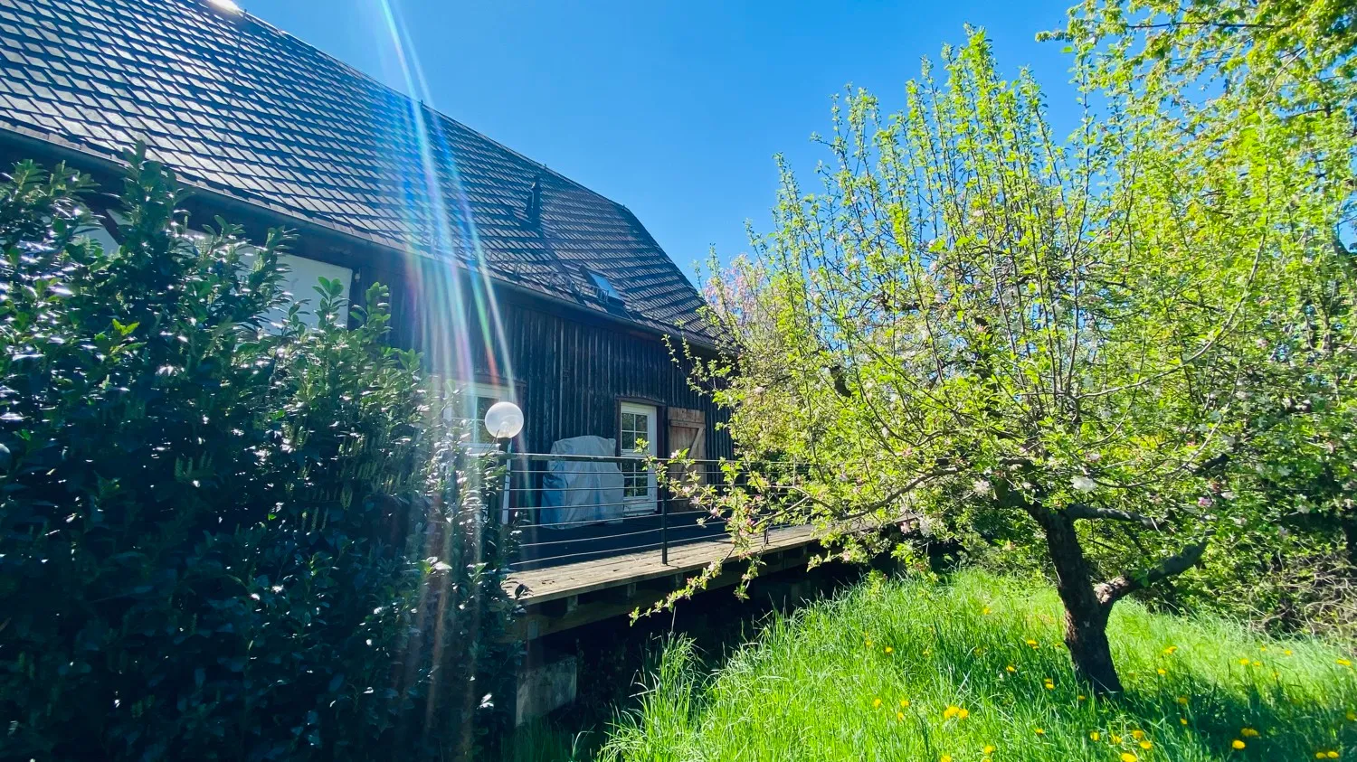 Einfamilienhaus mit offenem Wohnbereich und großem Garten