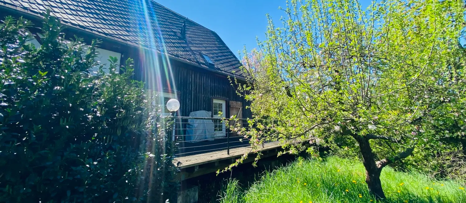 Einfamilienhaus mit offenem Wohnbereich und großem Garten
