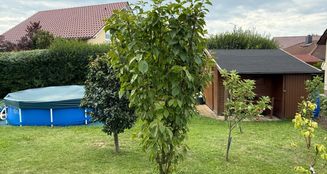 von_poll_real_estate_property_25326028_image_7