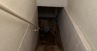 von_poll_real_estate_property_25326033_image_17