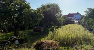 von_poll_real_estate_property_25326033_image_5