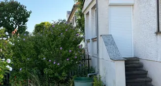 von_poll_real_estate_property_25326033_image_2