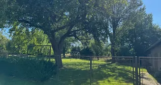 von_poll_real_estate_property_25326031_image_2