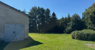 von_poll_real_estate_property_25326031_image_3