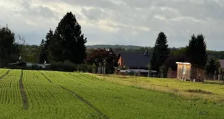 von_poll_real_estate_property_25326038_image_12