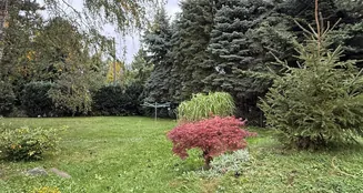 von_poll_real_estate_property_25326038_image_11