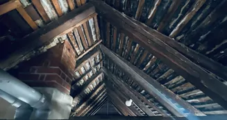 von_poll_real_estate_property_25326041_image_14