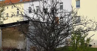 von_poll_real_estate_property_25326042_image_6