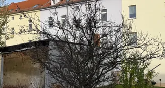 von_poll_real_estate_property_25326042_image_6