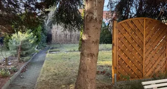 von_poll_real_estate_property_26326003_image_5