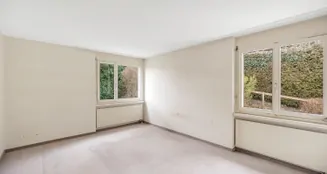 von_poll_real_estate_property_CH24330924e_image_7