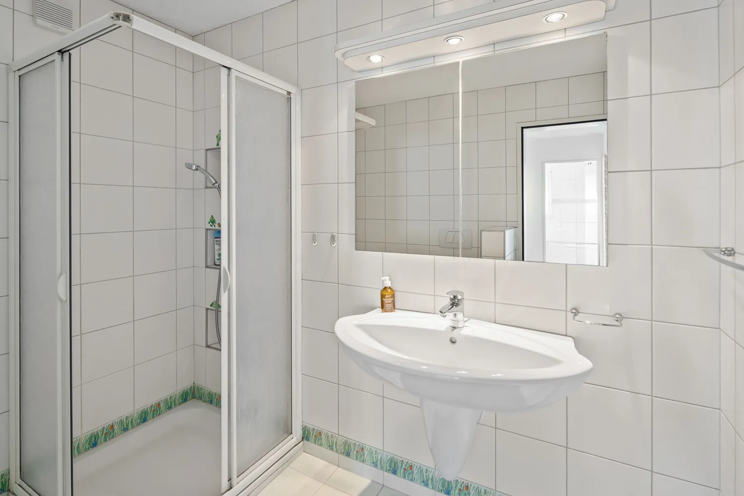 Komfortable Nasszelle mit Dusche, Lavabo und WC (EG)