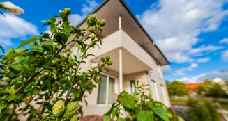 von_poll_real_estate_property_25153005_image_5