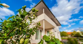 von_poll_real_estate_property_25153005_image_5