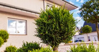 von_poll_real_estate_property_25153005_image_7