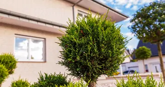 von_poll_real_estate_property_25153005_image_7