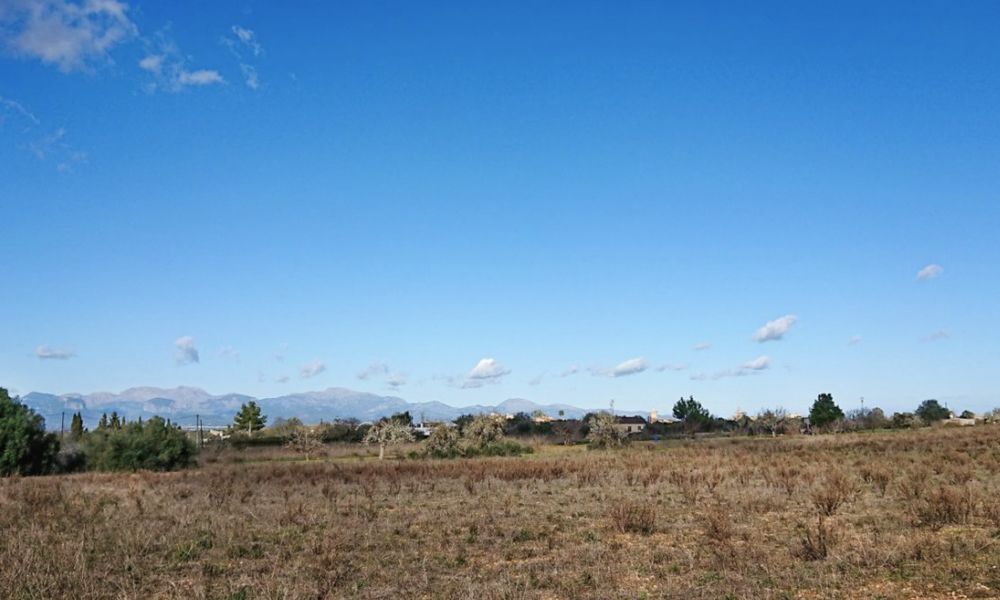 Finca de nueva construcción con piscina en Algaida