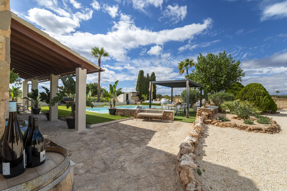 Terraza y Jardin