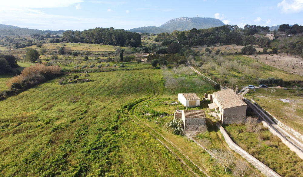 Country house in need of renovation in Algaida