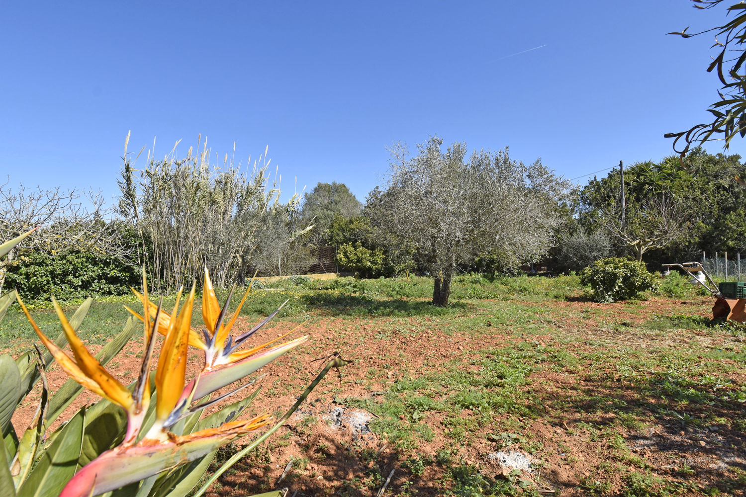 Finca mediterránea en Algaida