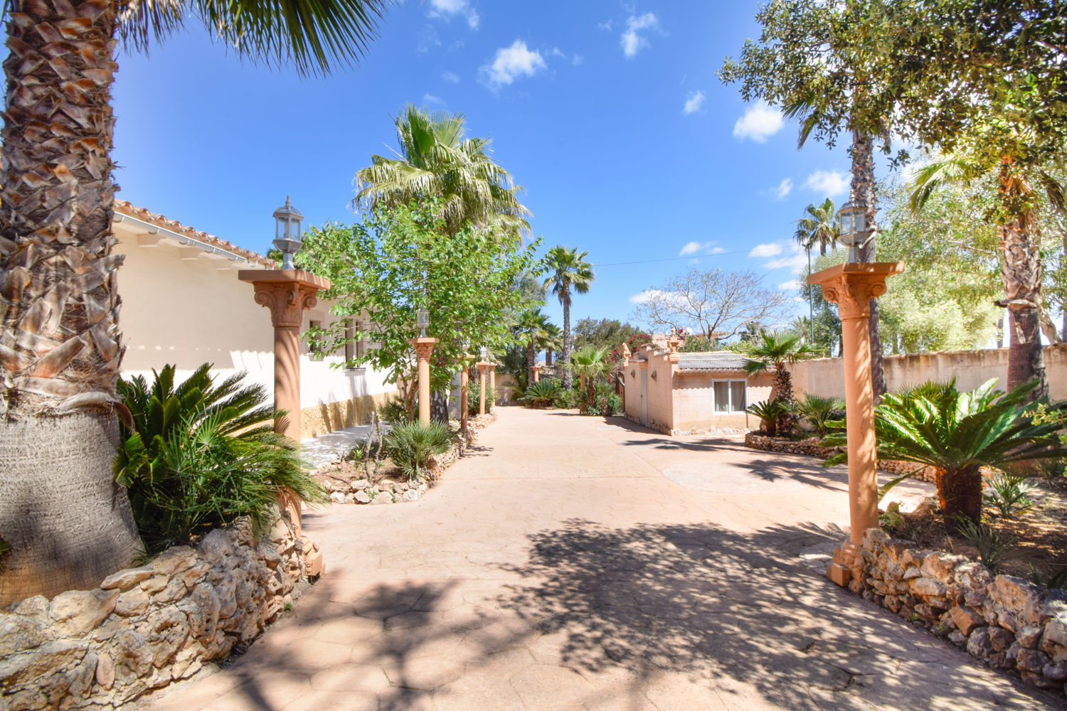 Se alquila: Gran finca con piscina en Las Palmeras