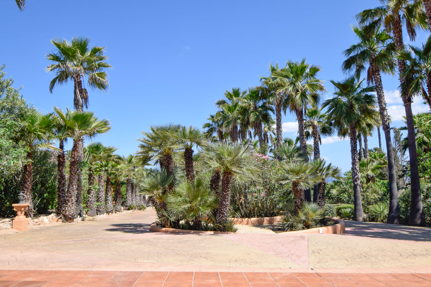 Zu Vermieten: Große Finca mit Pool in Las Palmeras