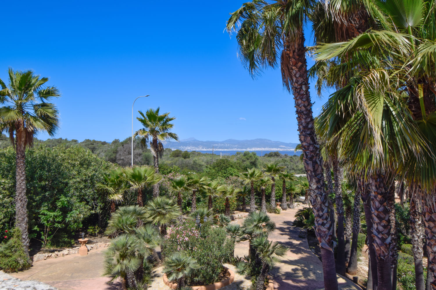 Zu Vermieten: Große Finca mit Pool in Las Palmeras