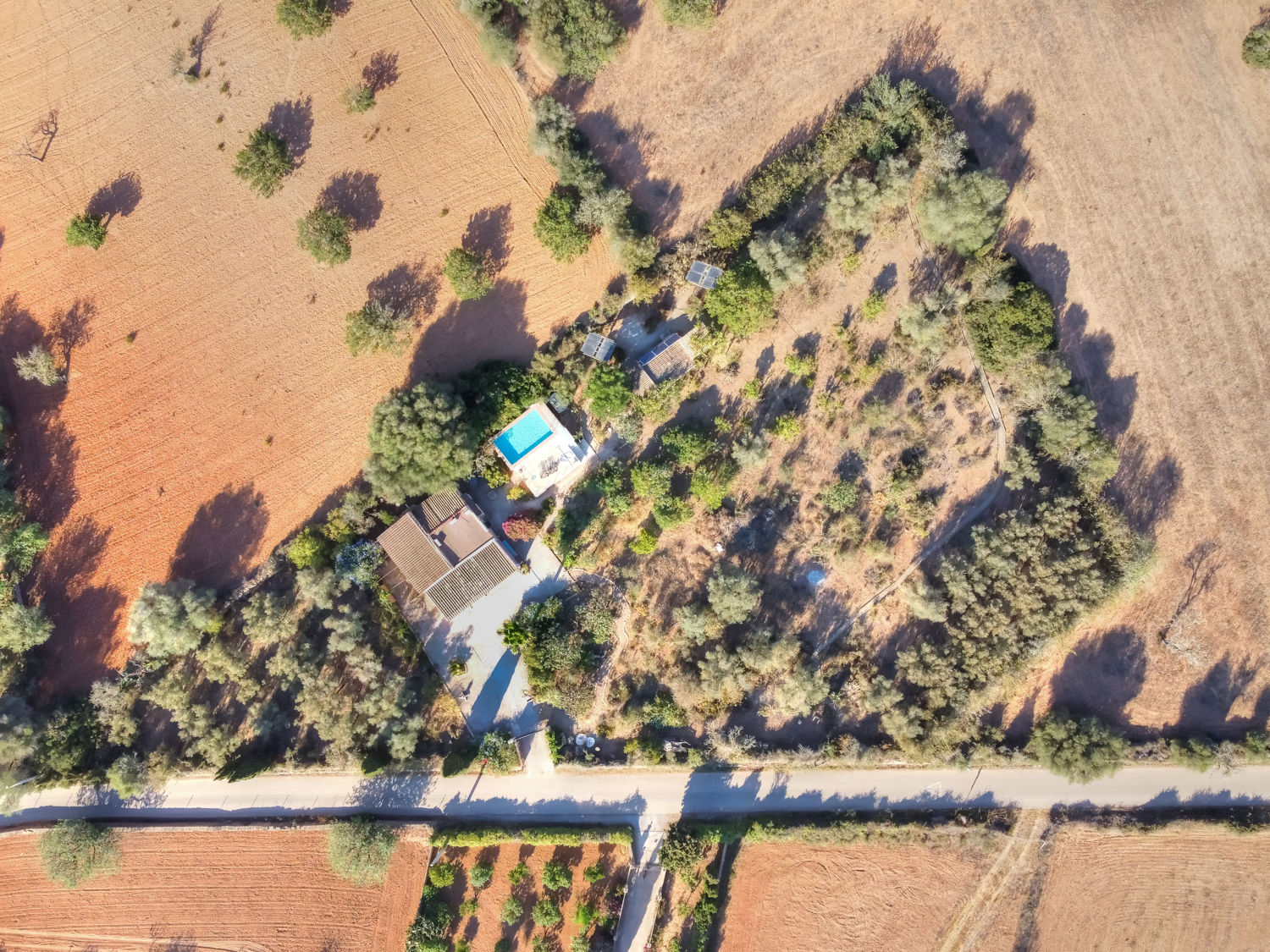 Finca modernizada con licencia ETV y piscina de agua salada en Llucmajor