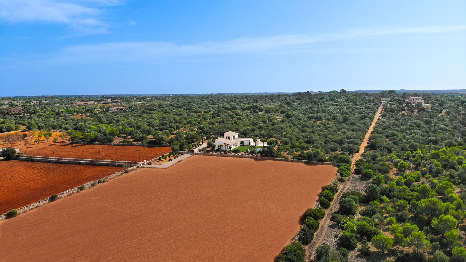 Finca de nueva construcción de estilo mediterráneo en Ses Salines