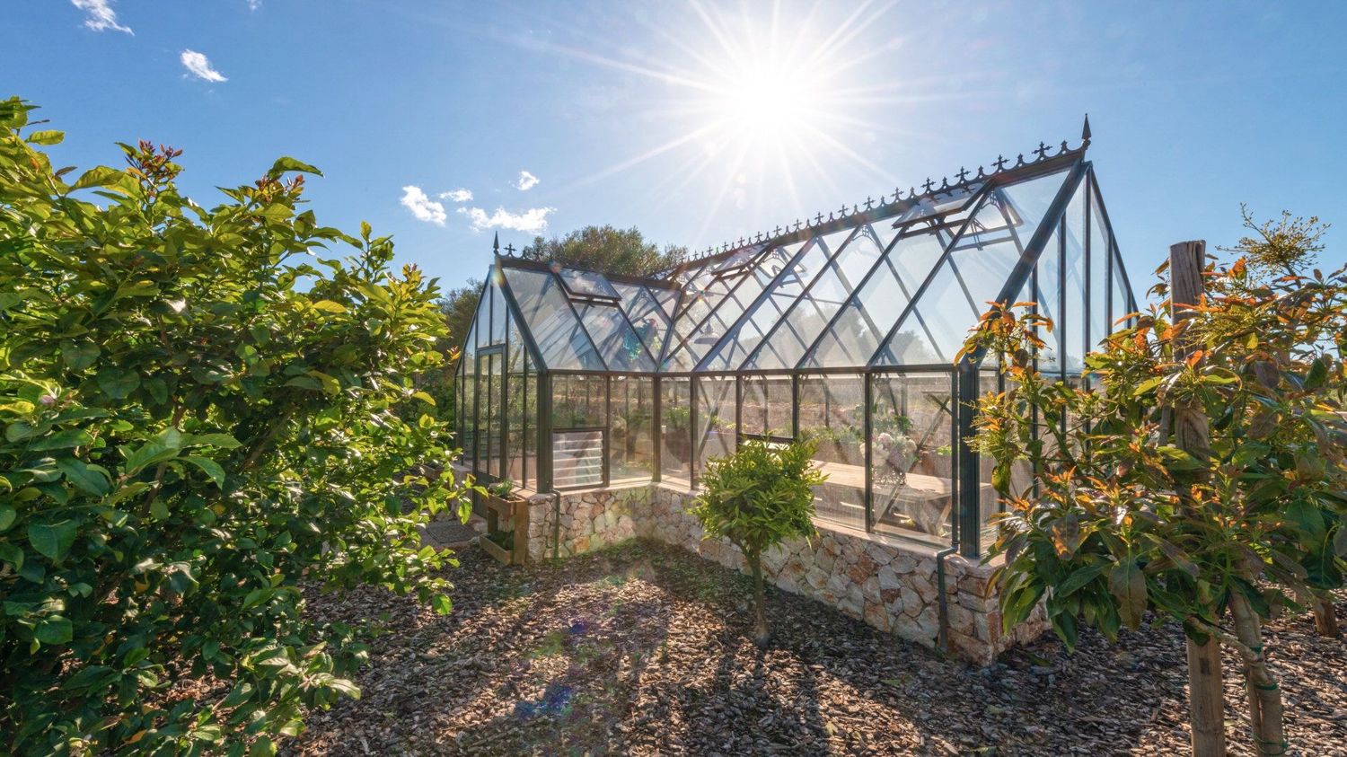 Luxurious finca with olive plantation and vineyard in Porreres