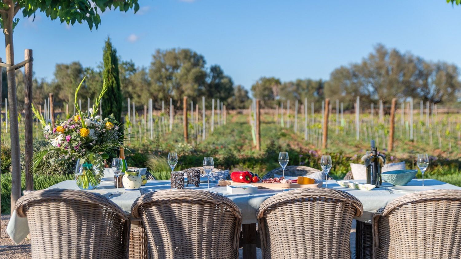 Luxuriöse Finca mit Olivenplantage und Weinberg in Porreres