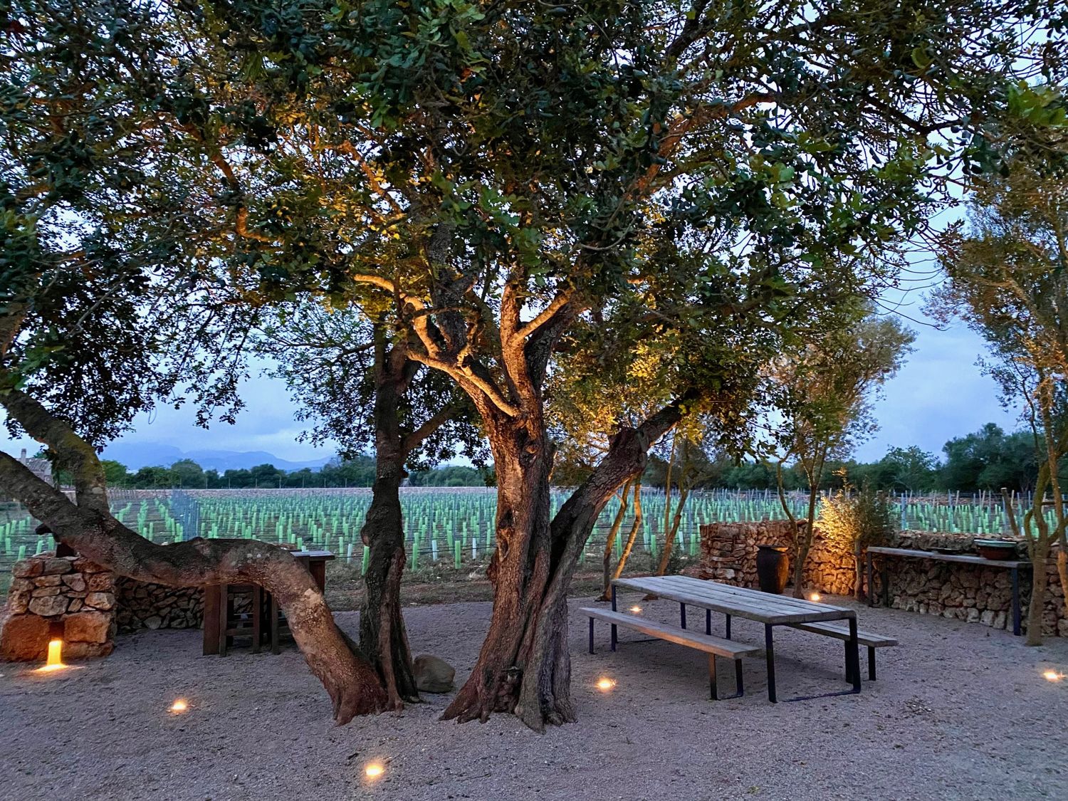 Luxuriöse Finca mit Olivenplantage und Weinberg in Porreres