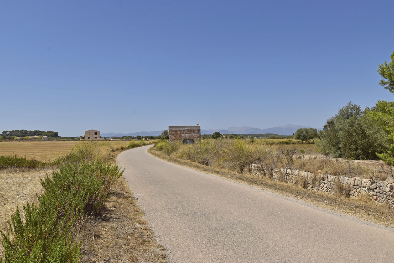 Parcela edificable en Algaida