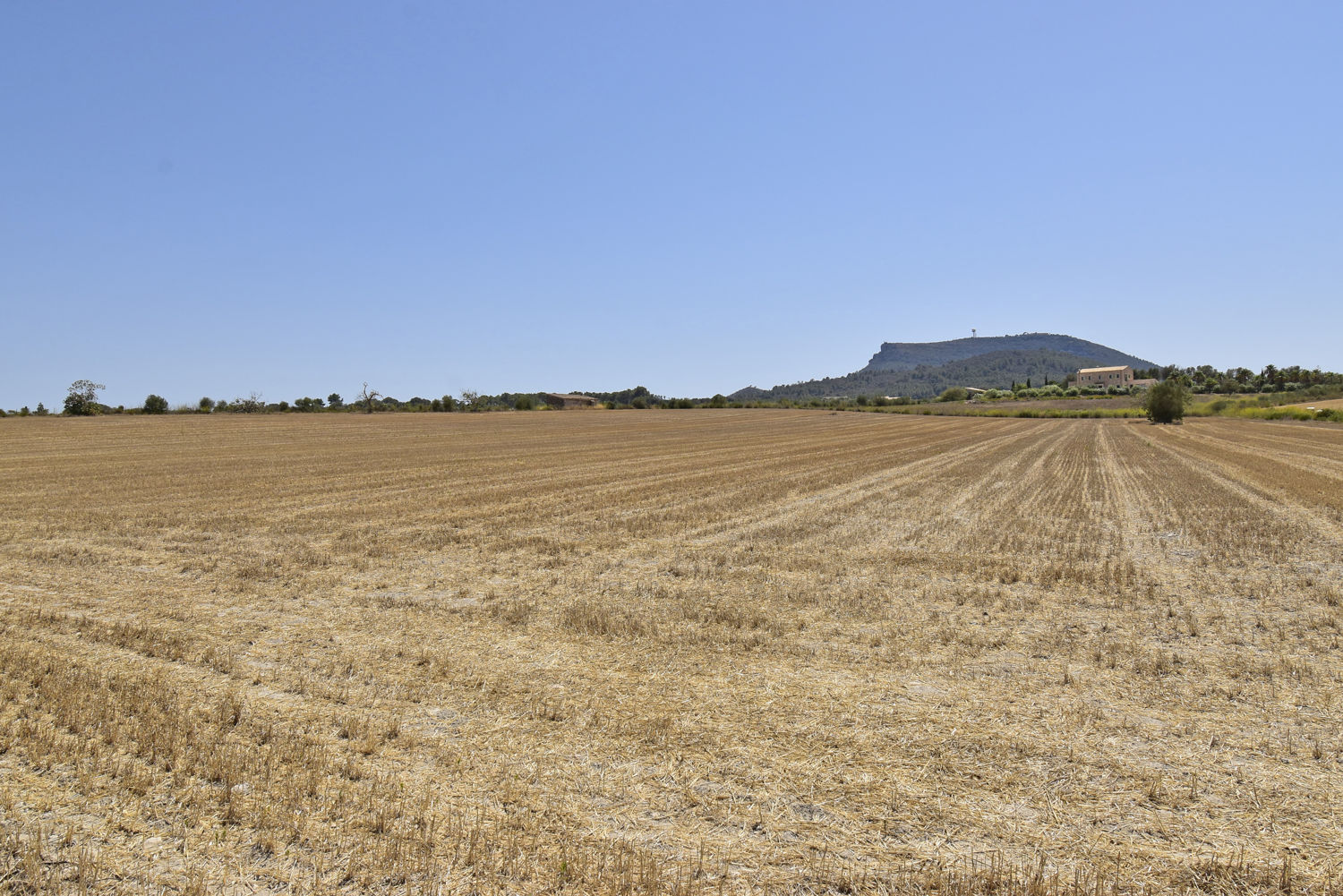 Building plot in Algaida