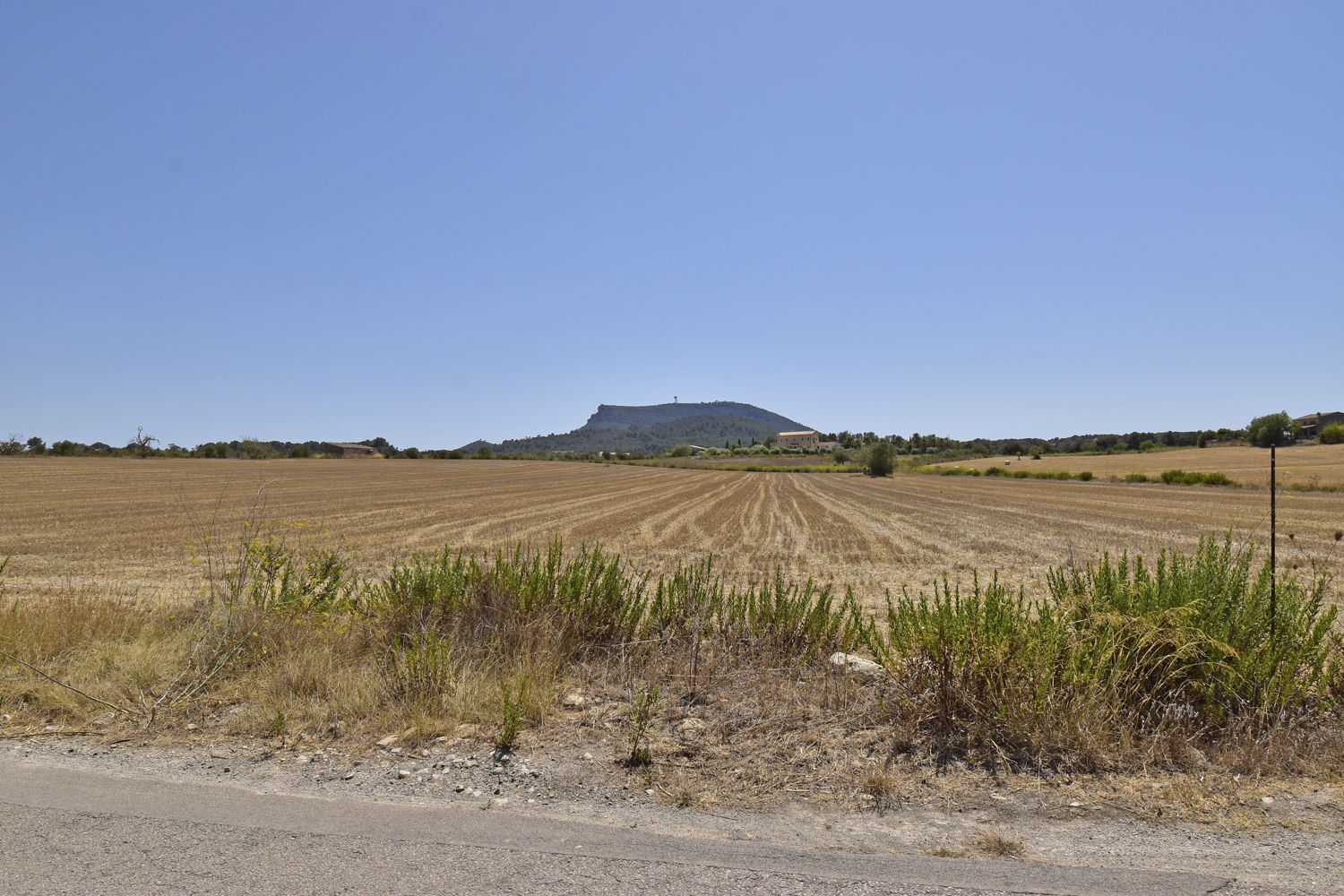 Building plot in Algaida