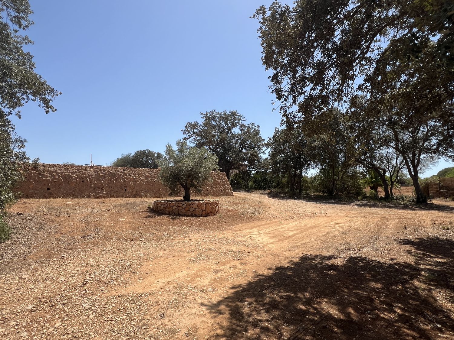 Finca de estilo mallorquín con piscina de agua salada en Felanitx