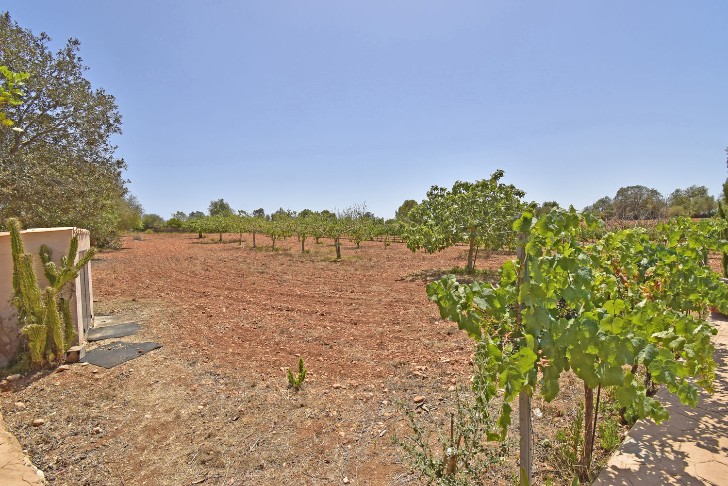 Finca de estilo mallorquín con piscina de agua salada en Felanitx