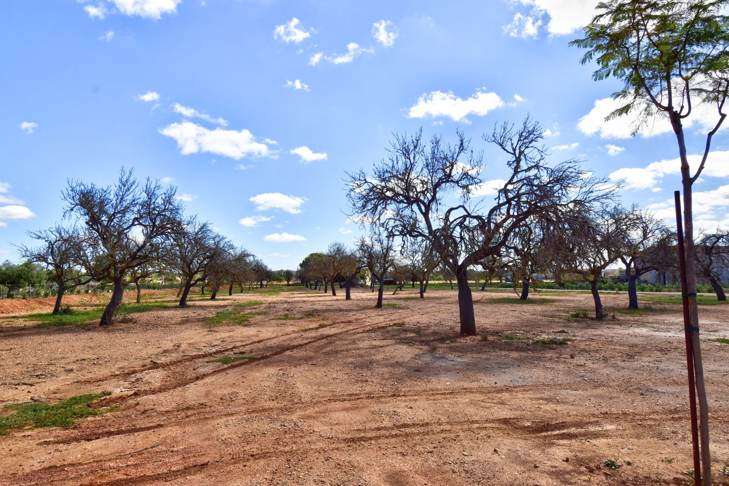 Sensational newly built finca with pool in Campos - near Es Trenc