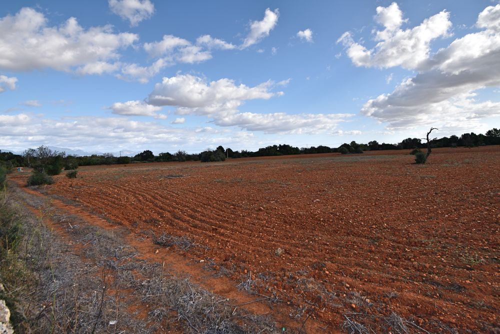 Terreno edificable cerca de Algaida