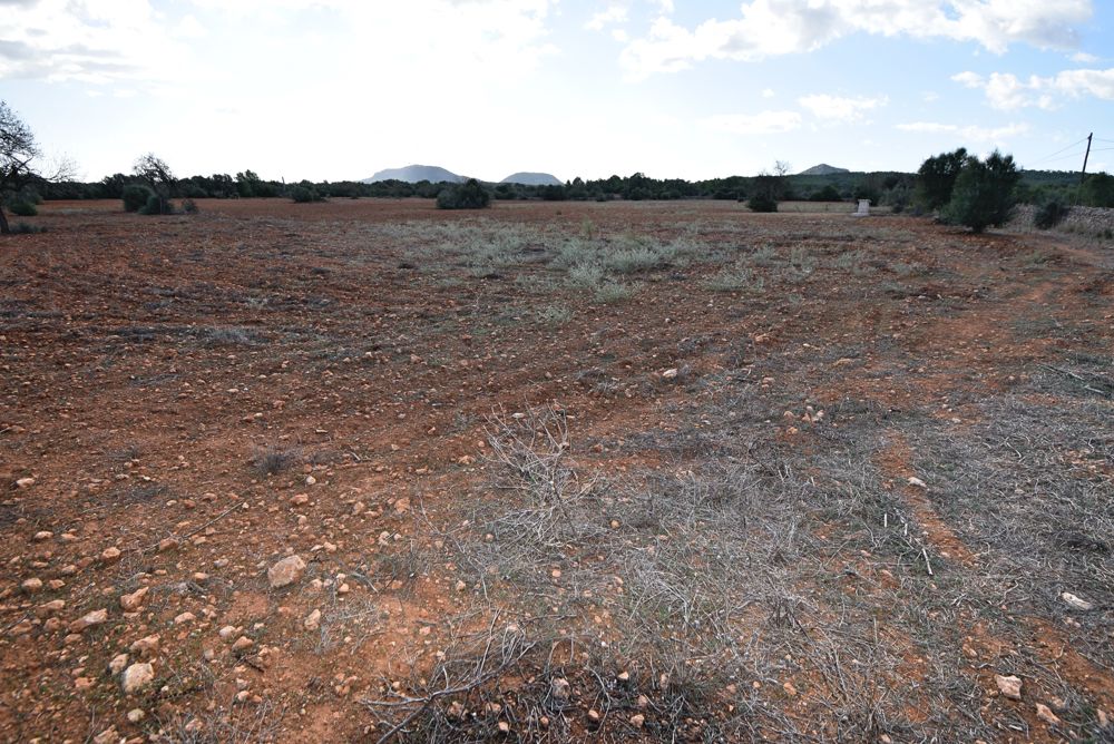 Terreno edificable cerca de Algaida