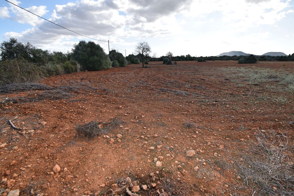 Building plot near Algaida