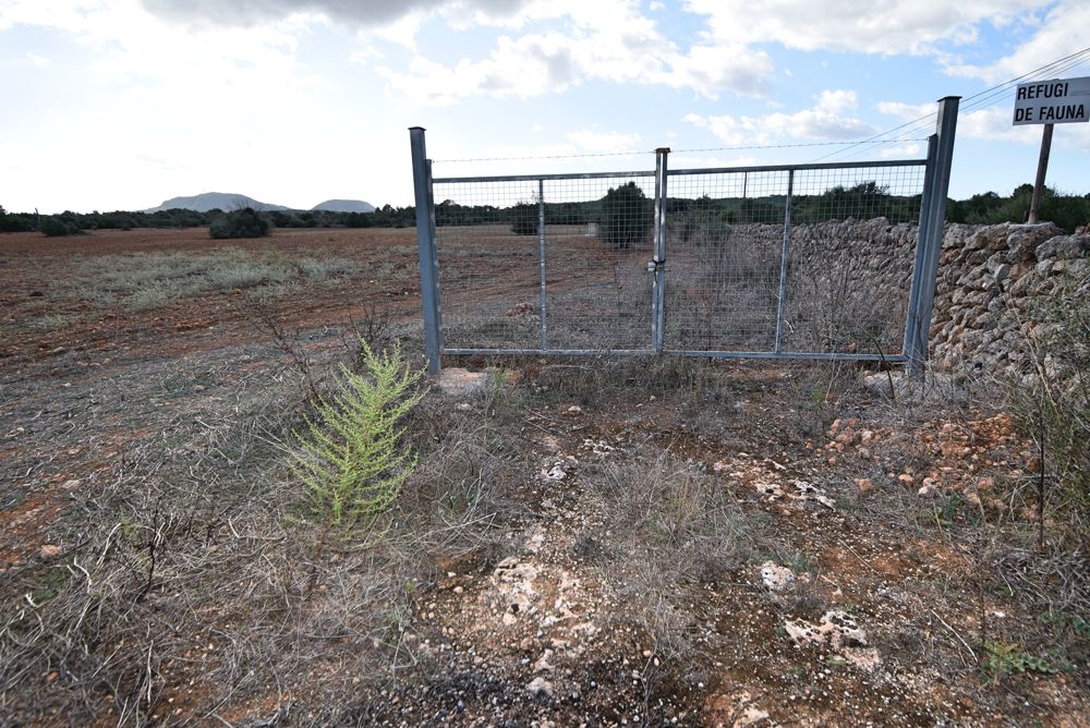 Terreno edificable cerca de Algaida