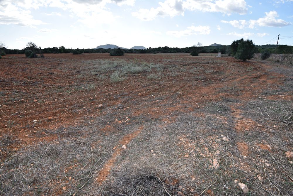 Terreno edificable cerca de Algaida