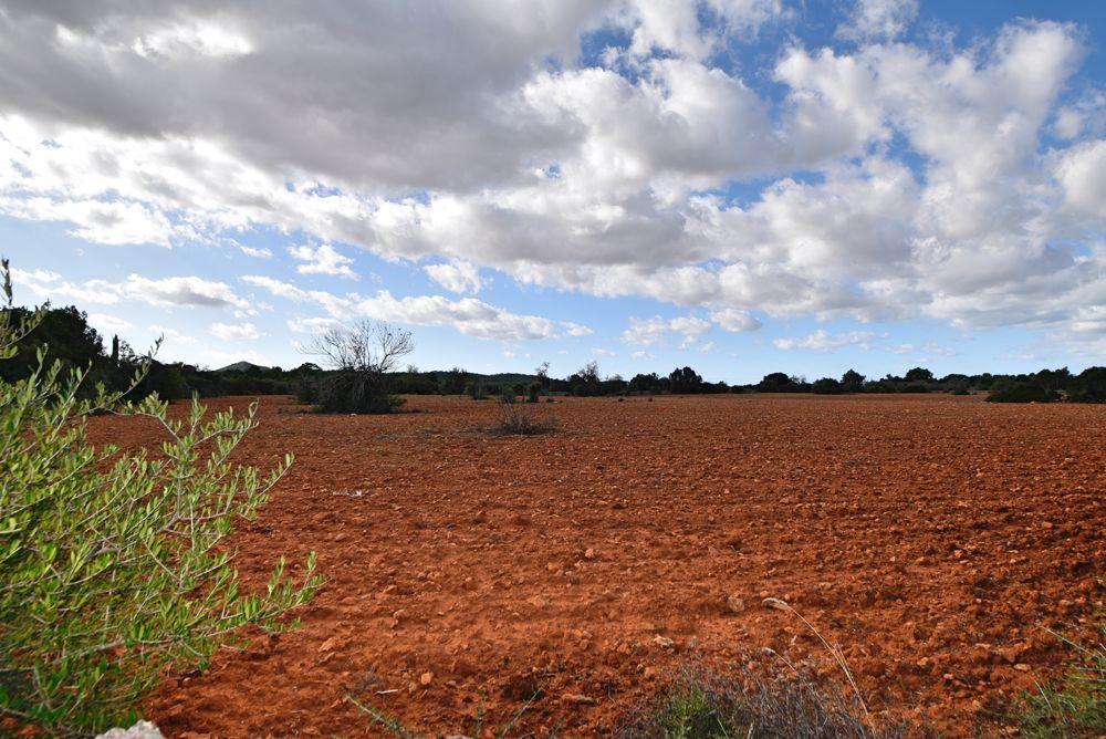 Terreno edificable cerca de Algaida