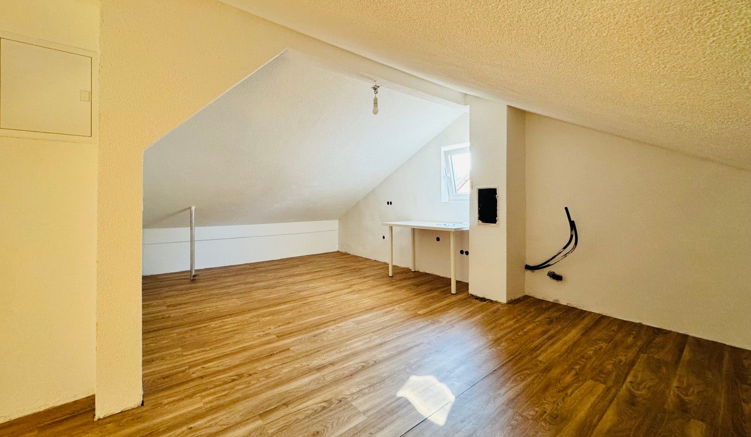 Zimmer DG