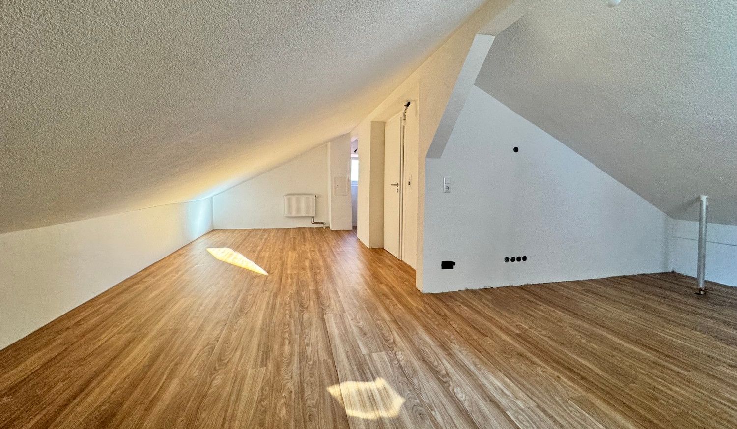 Zimmer DG1