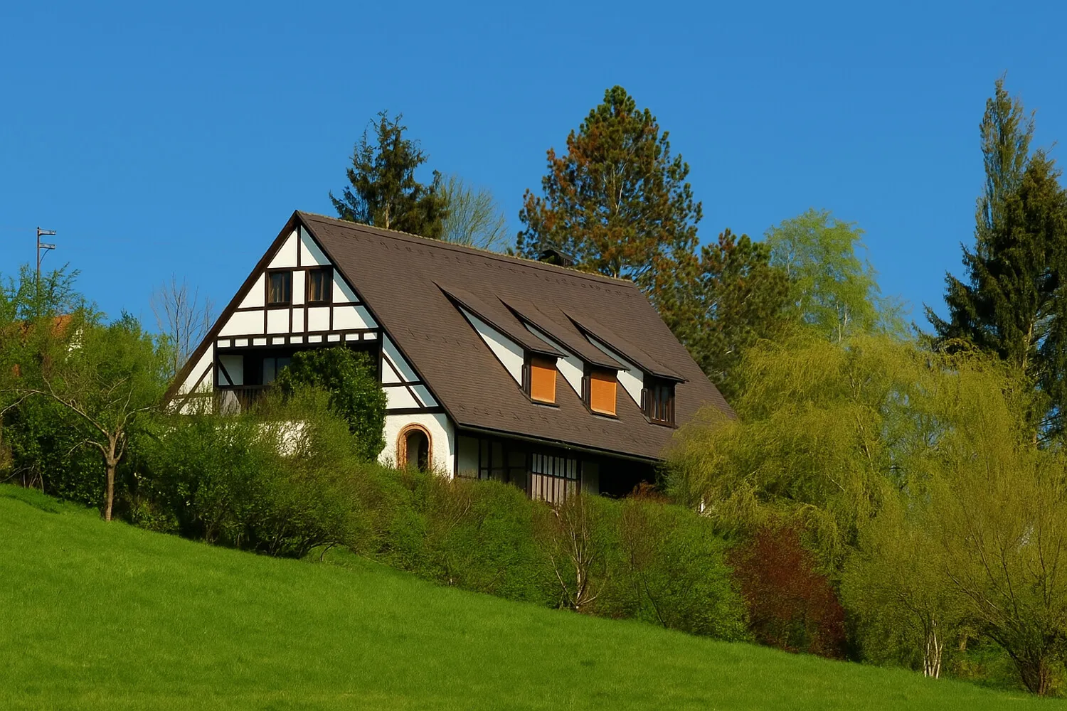 Titel ohne Rahmen