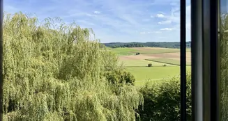 von_poll_real_estate_property_25288029_image_24