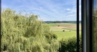 von_poll_real_estate_property_25288029_image_24