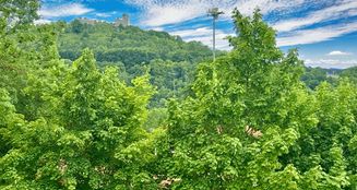 von_poll_real_estate_property_25151013_image_9